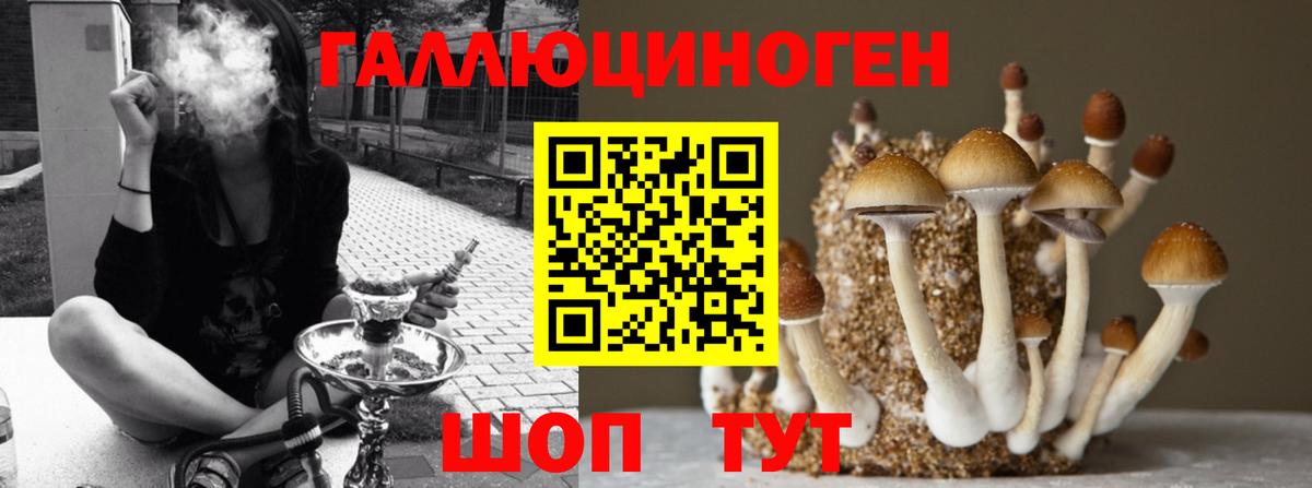 Псилоцибиновые грибы мицелий  Вход с VPN  закладки  Донецк 